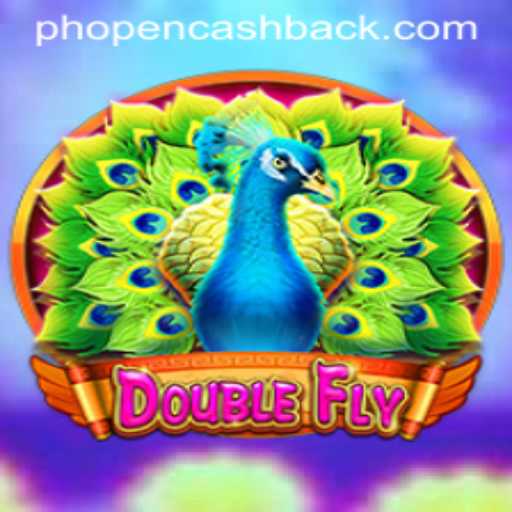 DoubleFly: A Revolutionary Arcade Experience